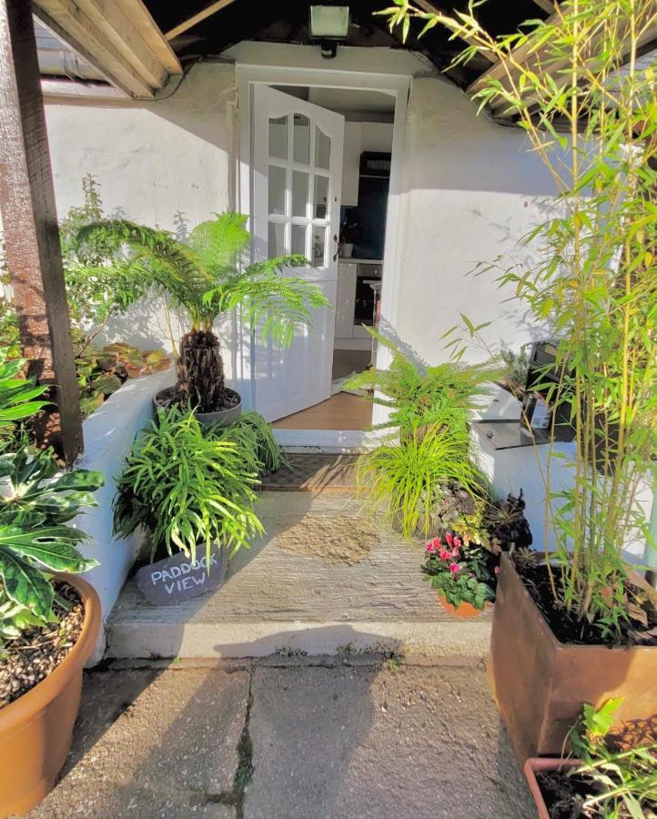 טרורו Idyllic Cornish Cottage, Superking Bed, Private Garden Dogs Welcome מראה חיצוני תמונה