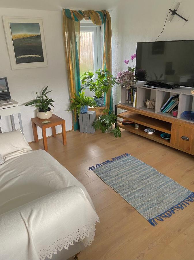 טרורו Idyllic Cornish Cottage, Superking Bed, Private Garden Dogs Welcome מראה חיצוני תמונה