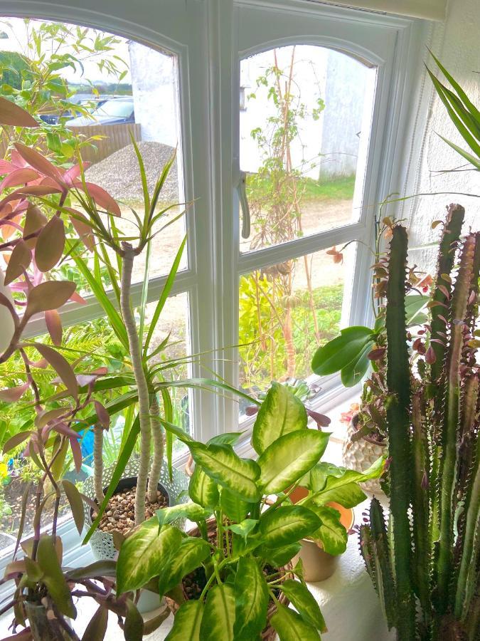 טרורו Idyllic Cornish Cottage, Superking Bed, Private Garden Dogs Welcome מראה חיצוני תמונה